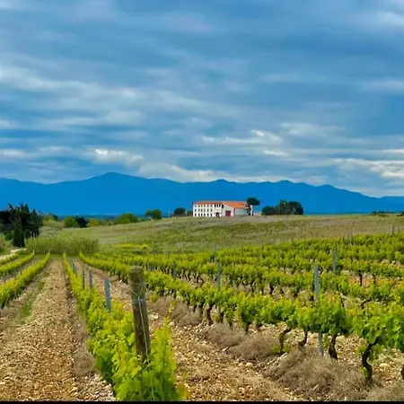 Villa Mas Elisange